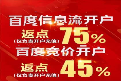百度推广在电商行业的应用及效果